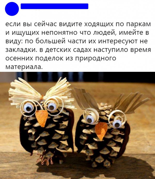 Дурацкие картинки