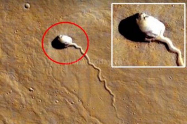 На Марсе нашли гигантский "сперматозоид"
