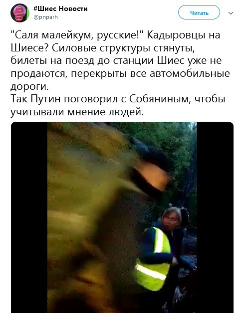 Кадыровских шавок прислали защищать мусорную свалку в Шиесе