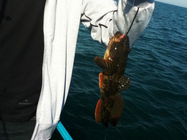 Sea Fishing. Черное море