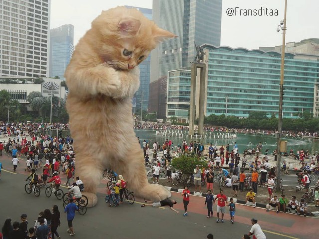 Пробки из-за котиков: гигантские коты в городских пейзажах