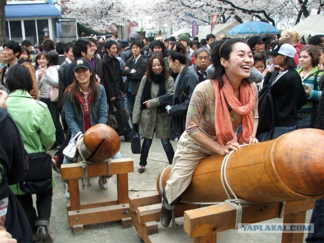 Омбасира — самый опасный фестиваль в Японии