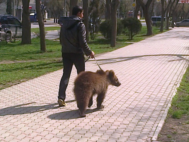 Крым, Евпатория, 29.03.2014