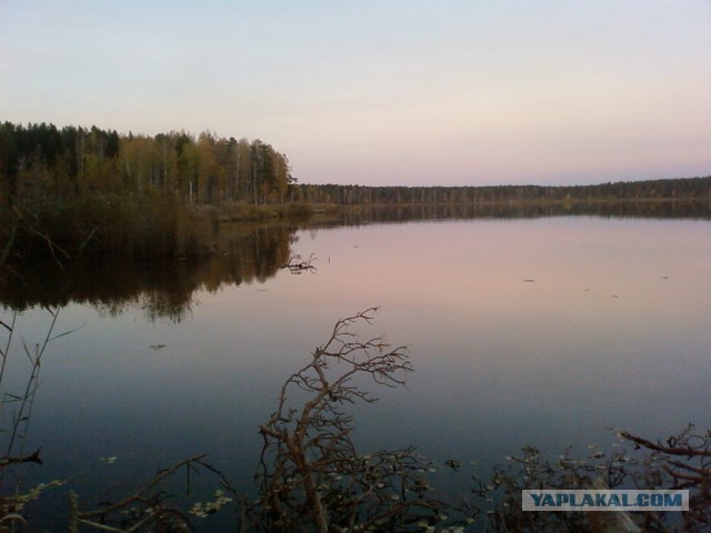 Природа Урала