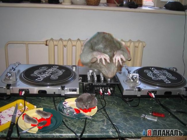 Модный Dj