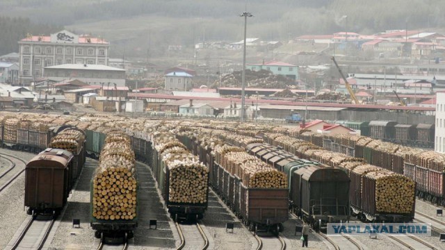 Запрещено всё: нельзя к реке, нельзя в лес. Нельзя ничего