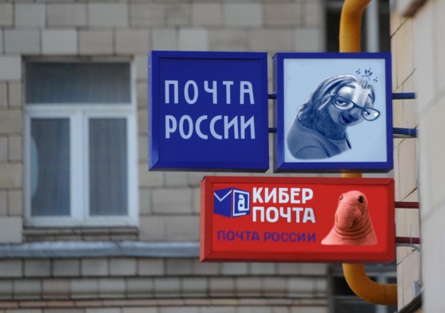 9219050.jpg