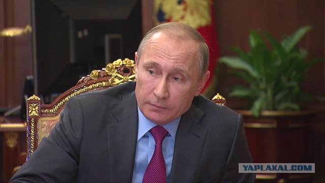 Подарок за вопрос путину Подарок за вопрос путину
