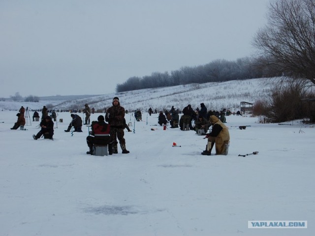 "Большая рыбалка 2013"