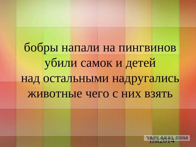 Не в склад,не в лад,поцелуй бревно в живот