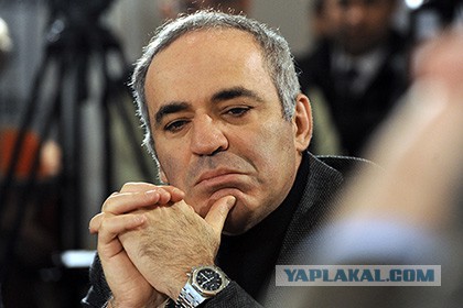 ФИДЕ уличила Каспарова в коррупции