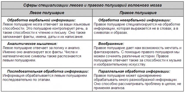 Объясните почему число долей в правом и левом лёгком человека неодинаково Объясните почему число долей в правом и левом лёгком человека неодинаково