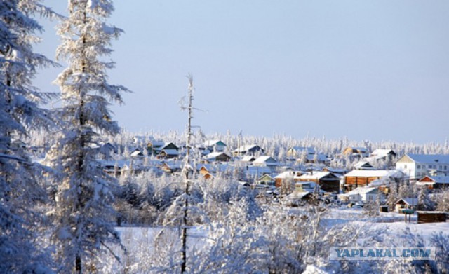 Цены на урожай 2018 года поселок Белая гора (Якутия)