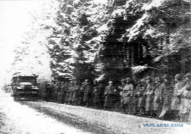 Фотографии Второй мировой, сделанные солдатом