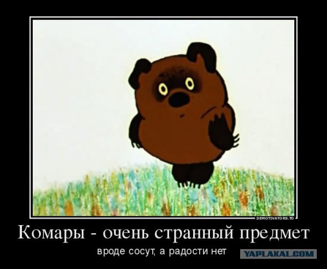 http://s00.yaplakal.com/pics/pics_preview/0/6/2/4677260.jpg