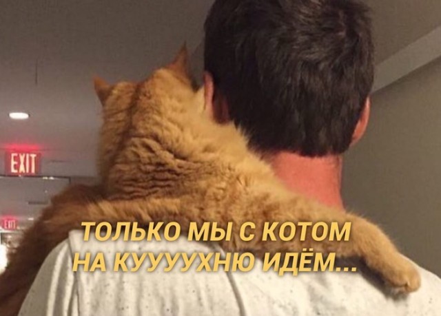 Невозможно не пропеть