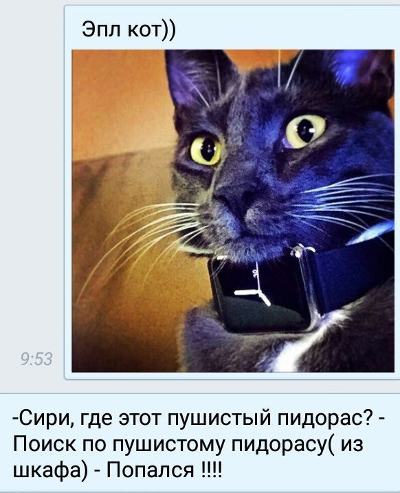 5531170.jpg