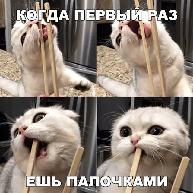 11249670.jpg