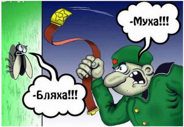 Бляха муха поздравление для мужчины Бляха муха поздравление для мужчины