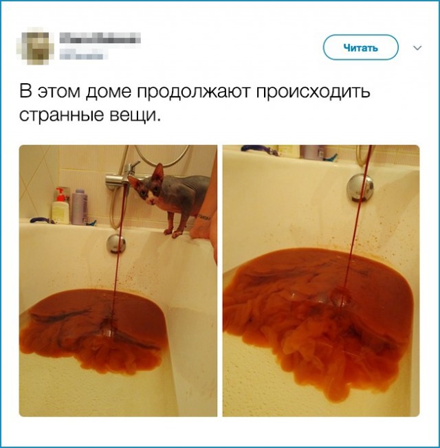 Что тут, черт возьми, творится?!