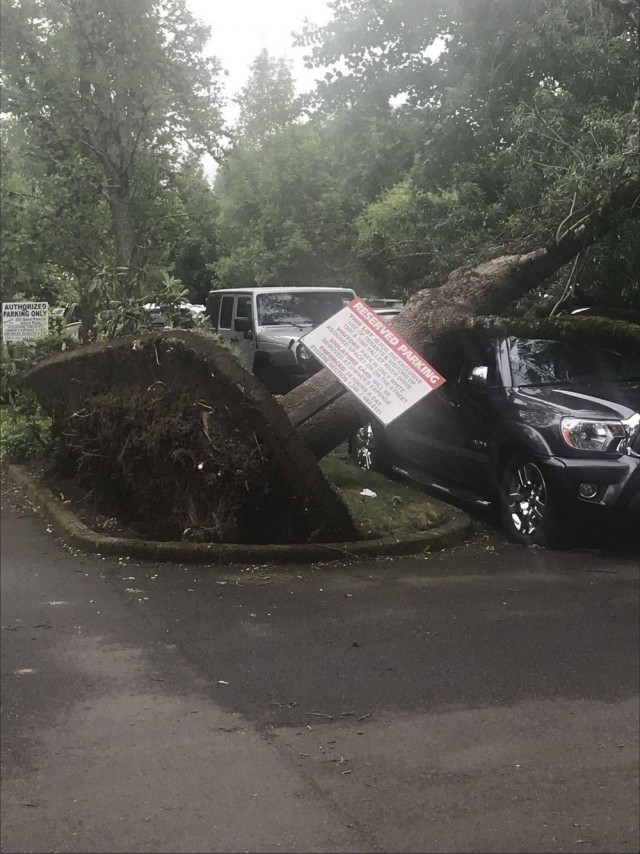 Бывают в жизни огорчения...