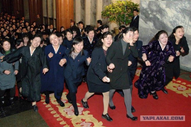 Ким Чен Ын поздравил россиян с Днём России