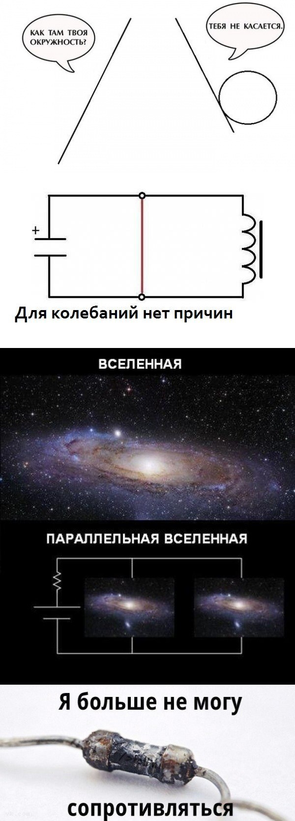 3597880.jpg