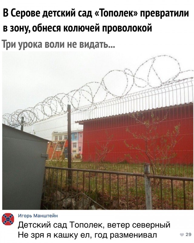 11620980.jpg