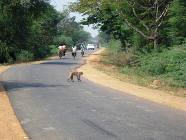 Индийские дороги