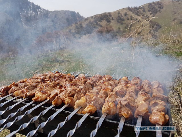 Шашлык, рецепты маринада, все про шашлык!