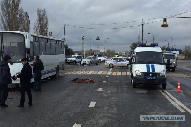 Автобус насмерть сбил трех девочек в Волгоградской области