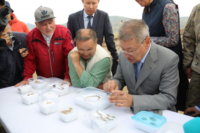 Найдено богатейшее захоронение скифов-саков в Казахстане