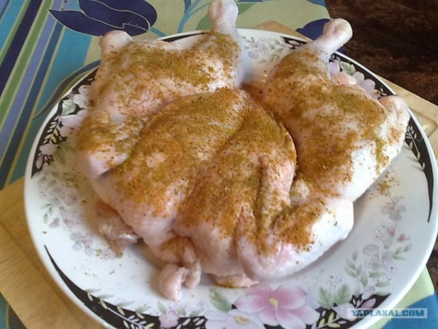 Цыпленок Табака от Дженибека