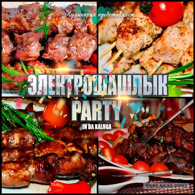 Электрошашлык party