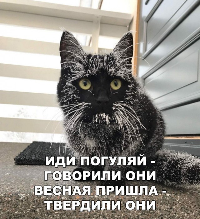11249690.jpg