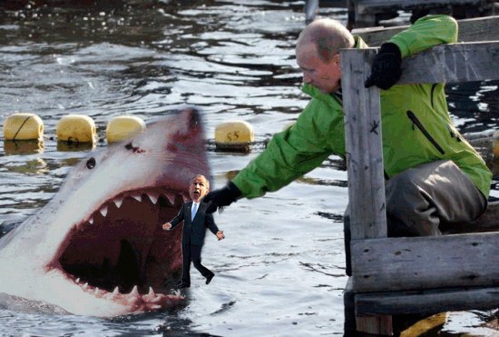 Путин и обитатели морских глубин