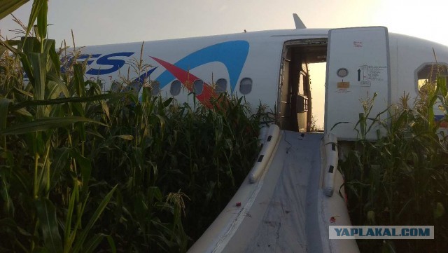 Расшифровка переговоров пилотов самолёта А321, севшего в поле с кукурузой