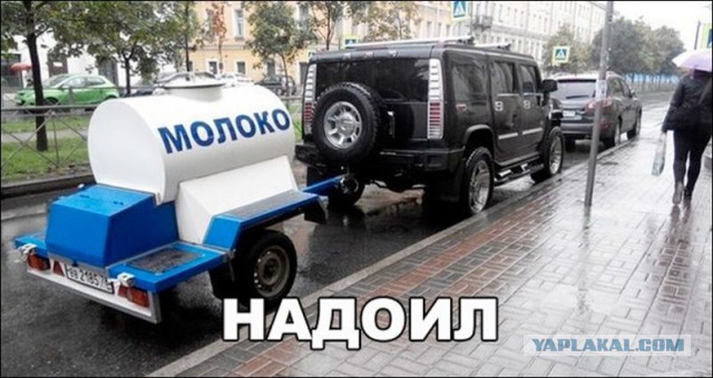 9839501.jpg