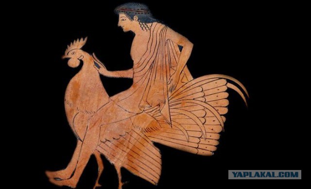 10 малоизвестных фактов из жизни древних греков, которые сегодня могут показаться шокирующими