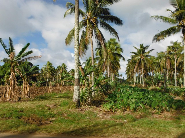 Самоа – Тонга – Фиджи