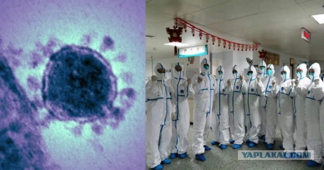 Число заболевших новым коронавирусом в Китае достигло 473 человек. Вирус мутирует и расходится за пределы Китая