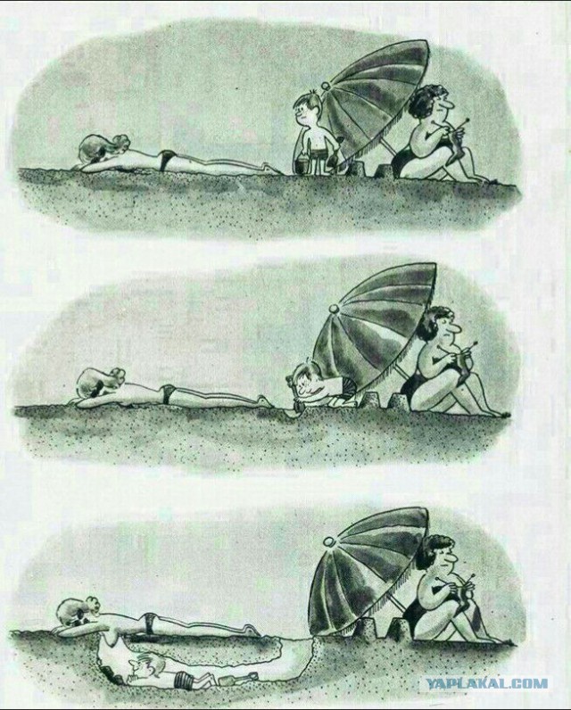 4092211.jpg