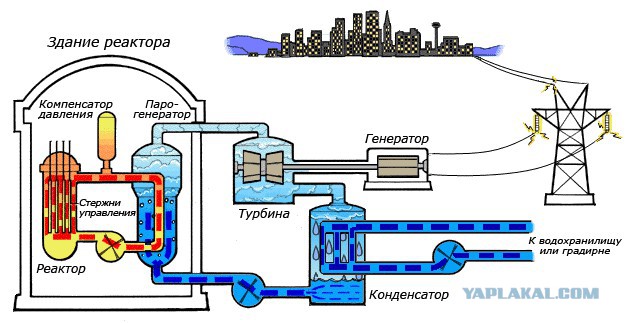 Медитация на обводной канал или Сомы Чернобыльской АЭС