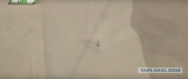 Американец прыгнул с высоты 7,6 км и приземлился без парашюта