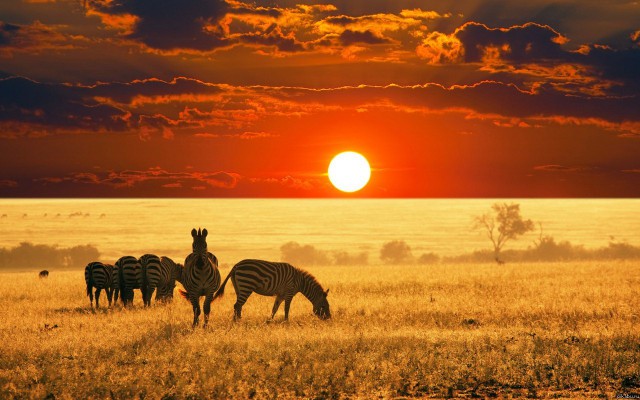 17 мифов об Африке, в которые раньше верили