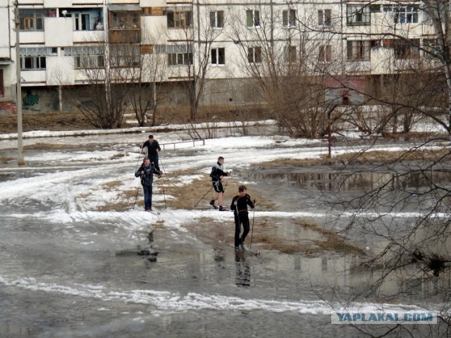 Цирк уехал, клоуны остались