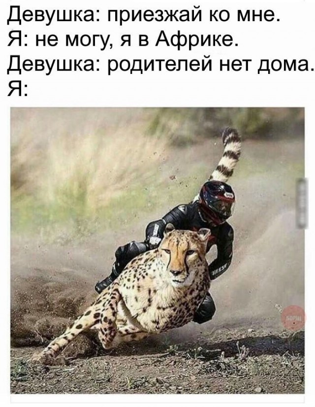 Снова всячина