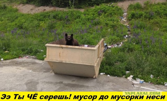 В Дагестане решили установить памятник человеку, донесшего мусор до урны