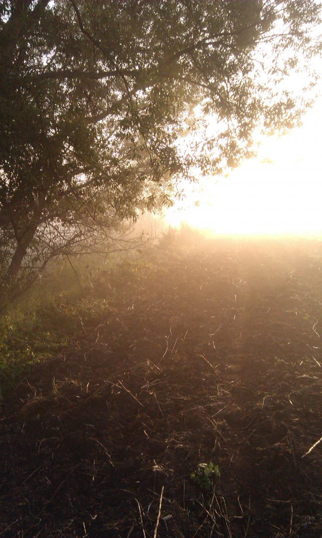 Немножко мобило-фоток с открытия осенней охоты