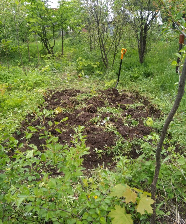 Своя баня или когда дурная голова рукам покою не даёт